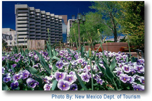 Albuquerque