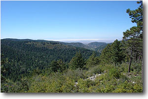 Cloudcroft