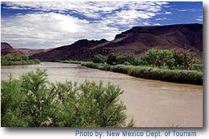 Las Cruces