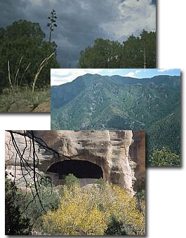 Gila National Forest