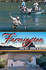 Farmington-CVB-Targeted-Banner