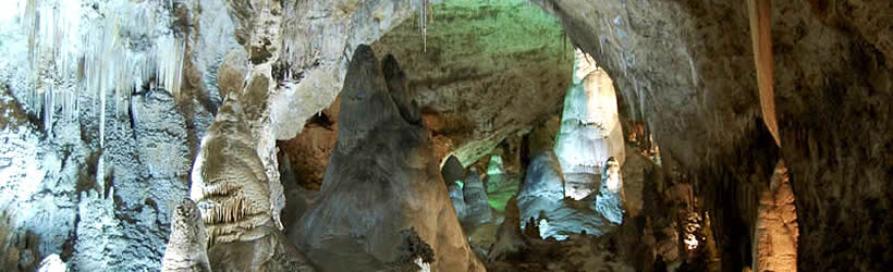 Life Underground
