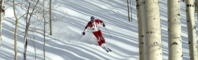 Powdery Perfection