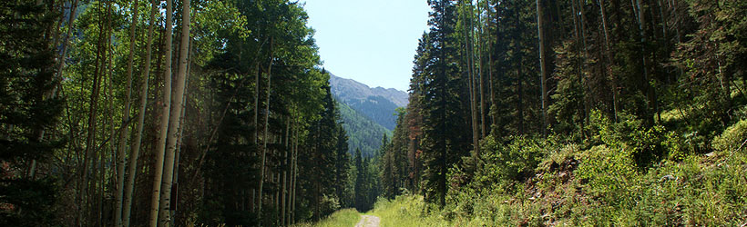 Lone Path