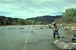 Fly Fishing 