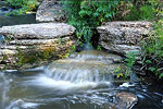 Jemez Mtn Stream