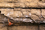 Rock Climbing Albuquerque