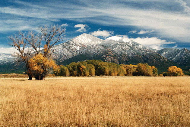 Frosted Peaks