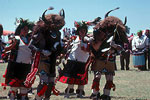 Buffalo Dancers