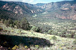 Gila Wilderness 