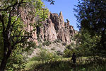 Gila Wilderness 
