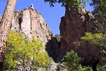 Gila Wilderness 