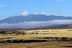 Gila Wilderness 