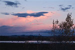 Bosque Sunset Flock