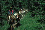 Pecos Wilderness Horse Ride